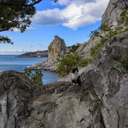 Photo #4022564
