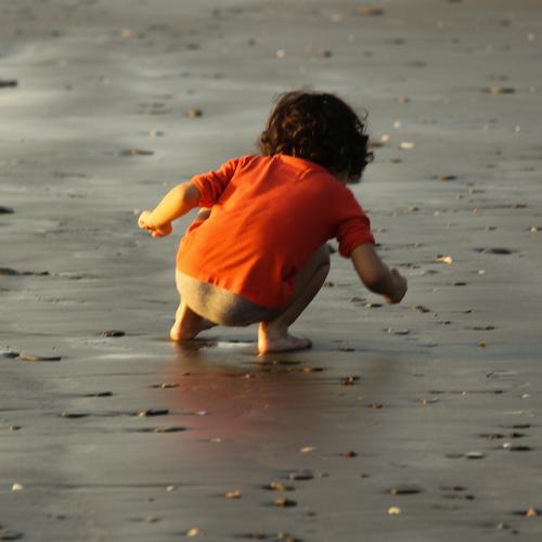 Photo #4022604