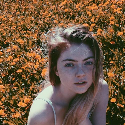 Photo #4022778