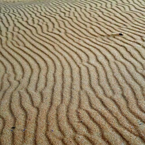 Photo #4022961