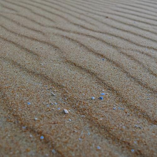 Photo #4022965
