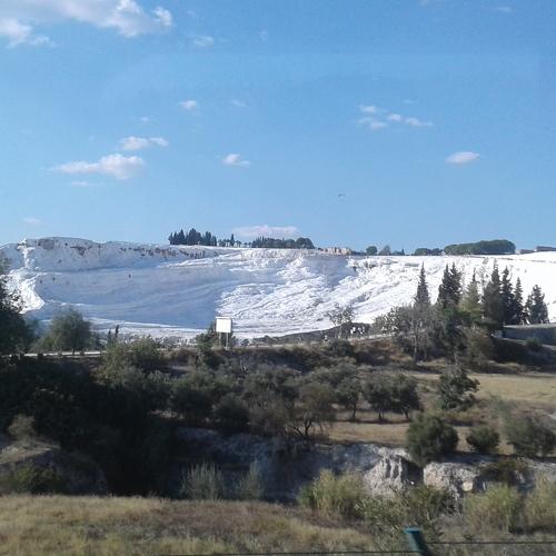 Photo #4023232