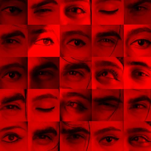 Photo #4023436