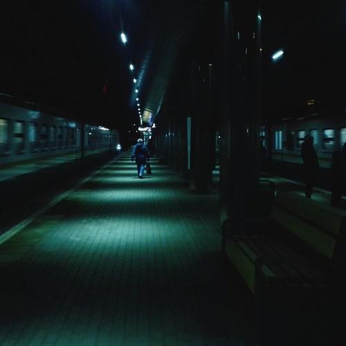Photo #4023625