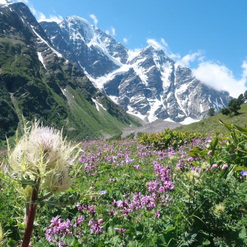 Photo #4023759