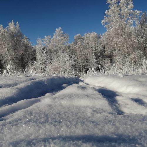 Photo #4024237