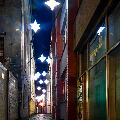 Photo #4024243