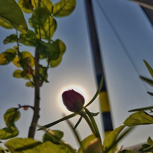 Photo #4024373