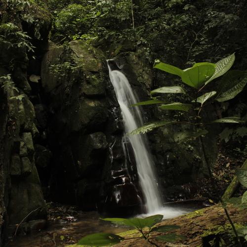 Photo #4024823
