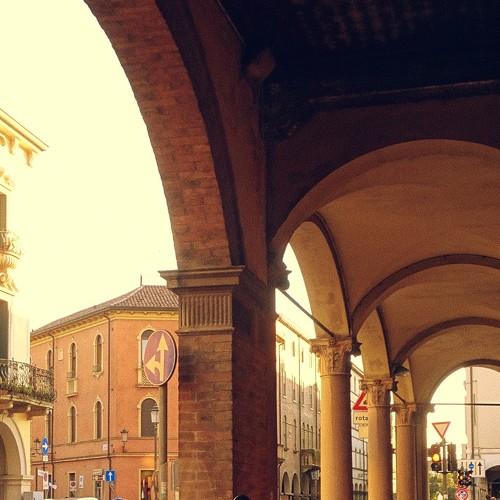 Photo #4025432