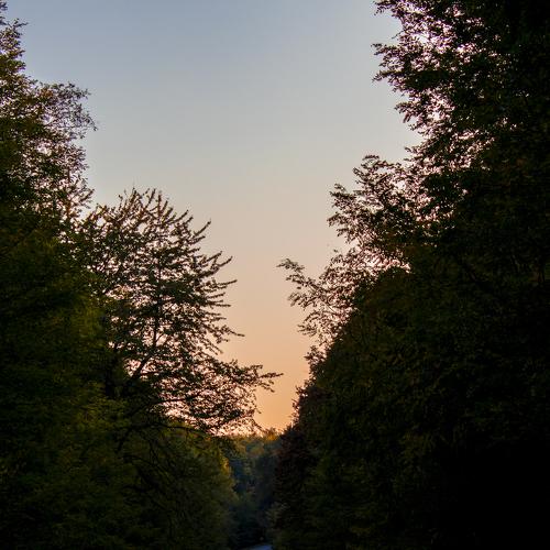 Photo #4025526