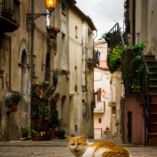 Photo #4025531