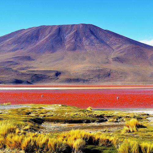 Вулканы Лагуны Колорада