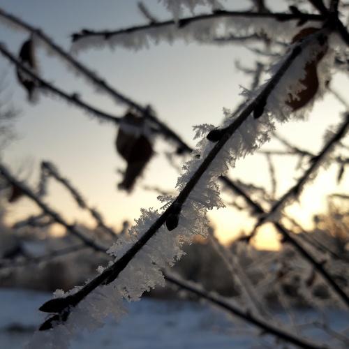 Photo #4025808