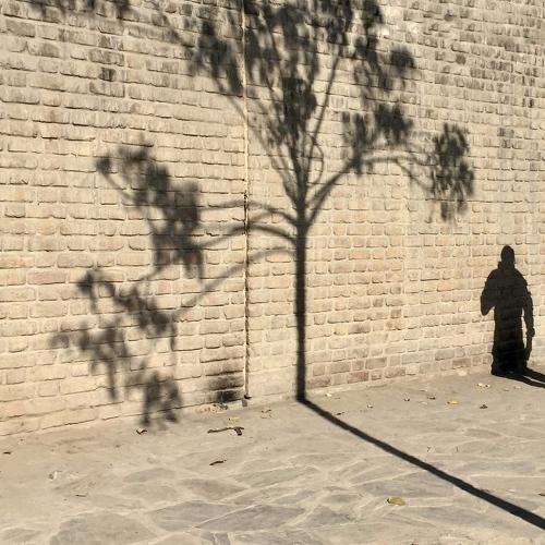 Photo #4026114
