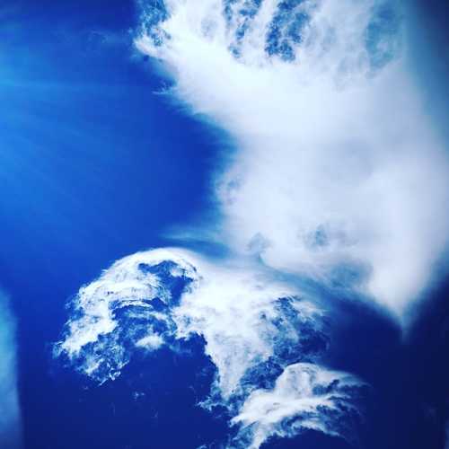 Photo #4026217