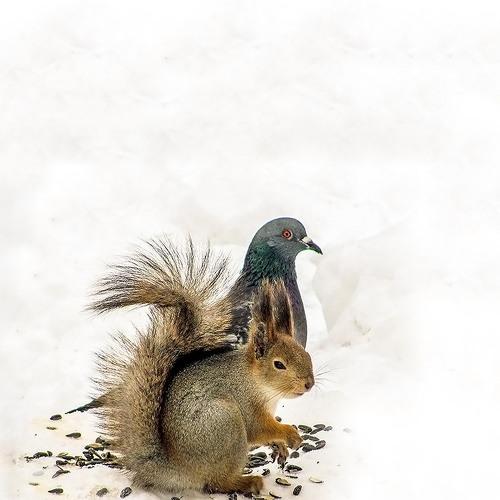 Photo #4026333