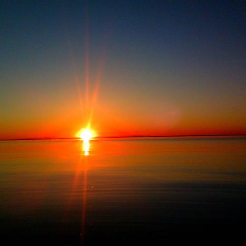 Photo #4027184