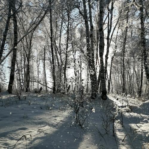 Photo #4027738