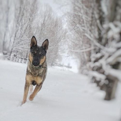 Photo #4027890