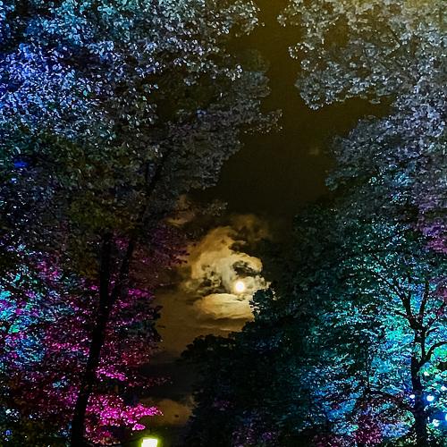 Photo #4027891