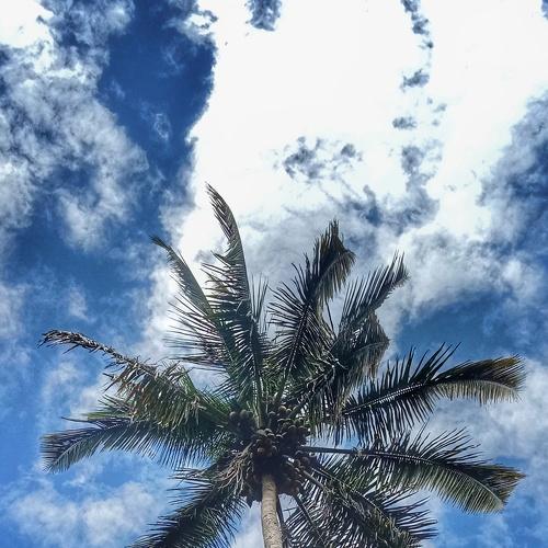 Sky blue
