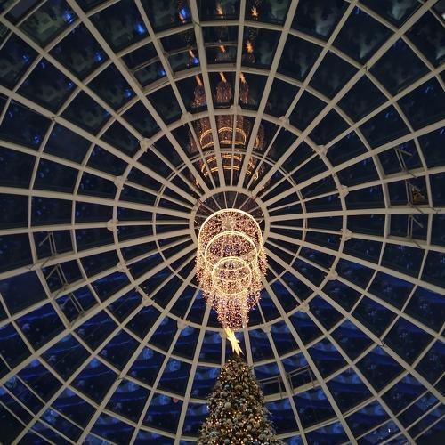 Photo #4028143