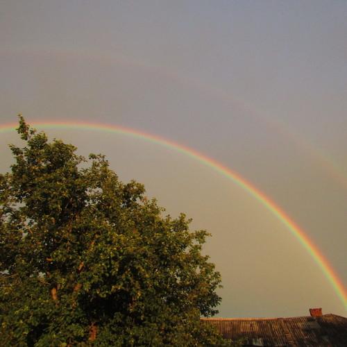 Photo #4028413