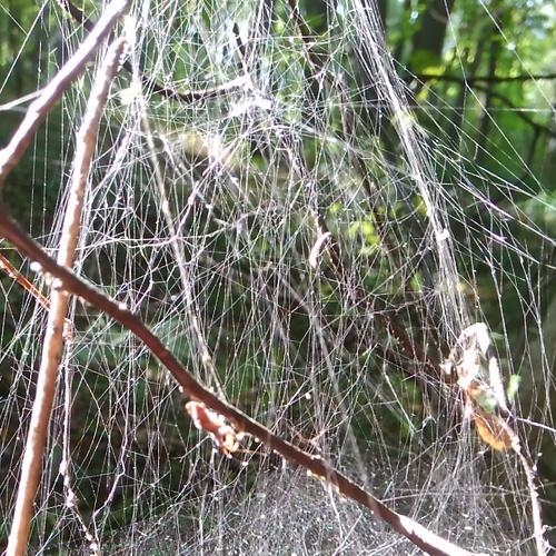 Photo #4028483