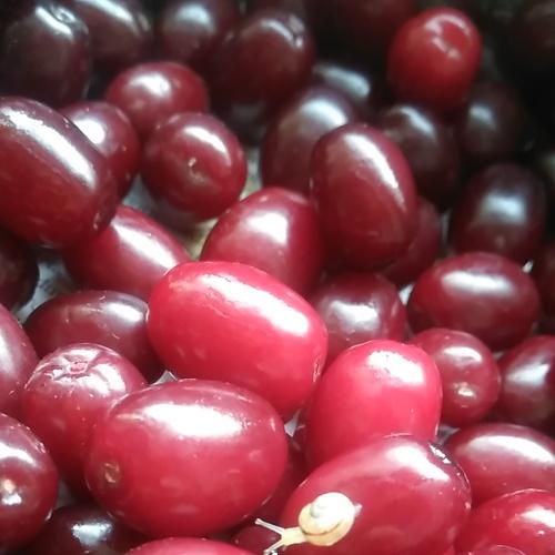 Photo #4028506