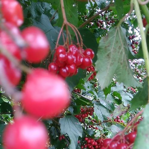 Photo #4028511