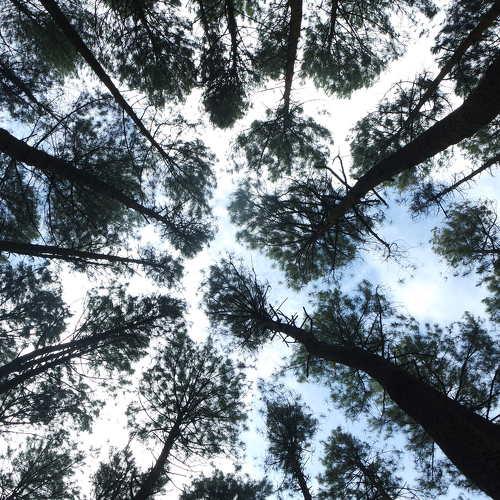 Photo #4028549