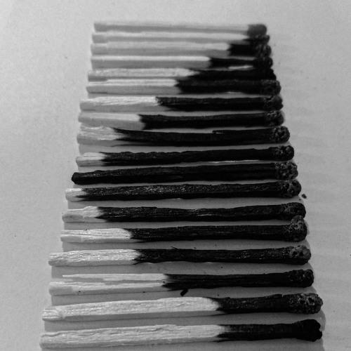 Photo #4028692