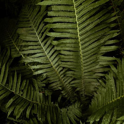 Photo #4028696