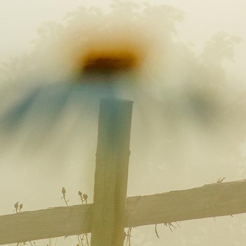 Photo #4028731