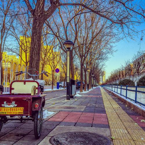 Winter tricycle