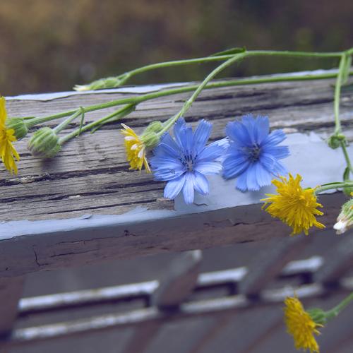 Photo #4028758