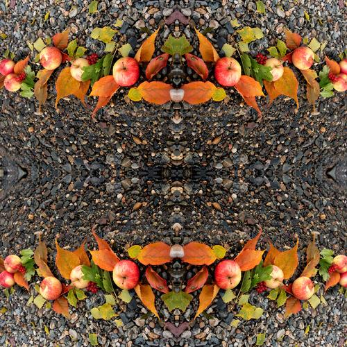 Photo #4029585
