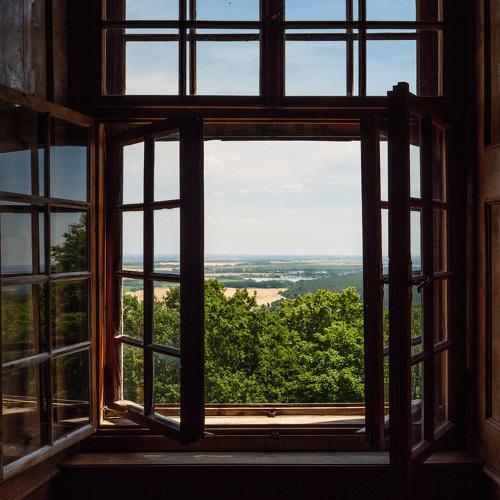 Window