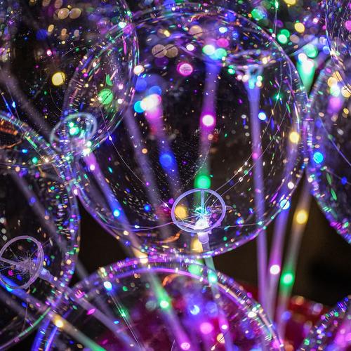Photo #4029685
