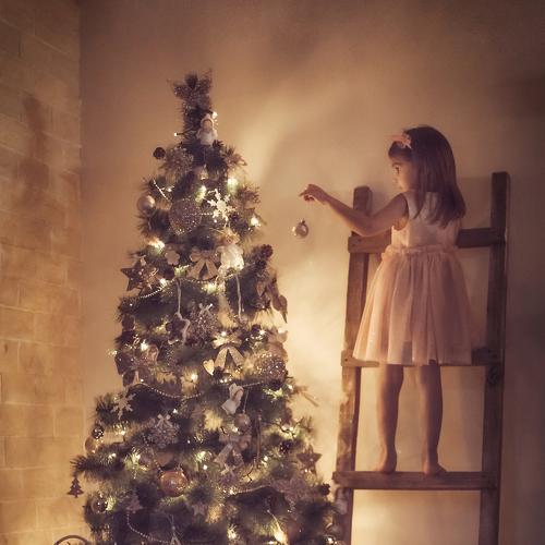 Photo #4030065