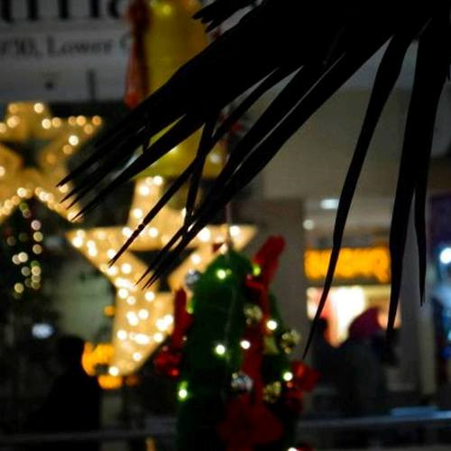 Photo #4030207