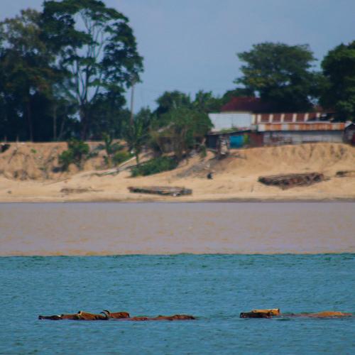 Photo #4030209