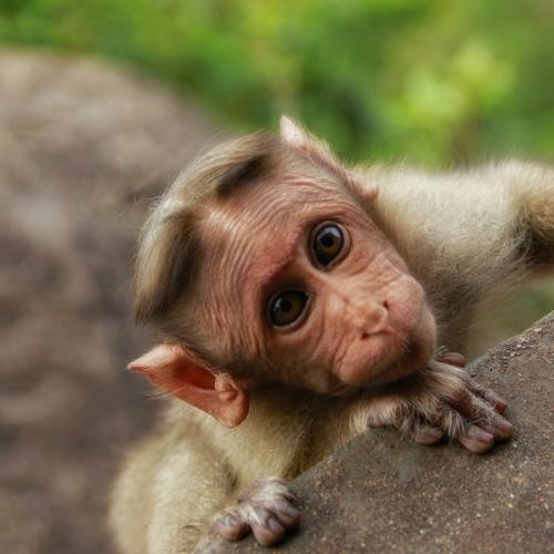 Photo #4030323
