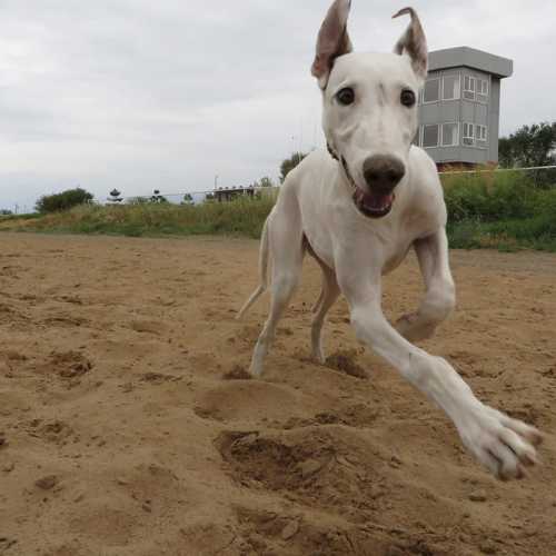 Photo #4030611