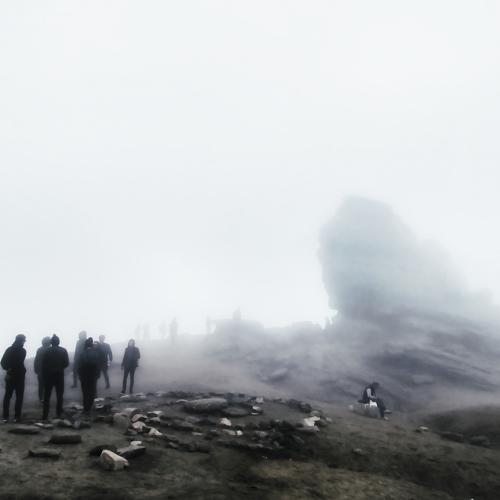 Photo #4031126