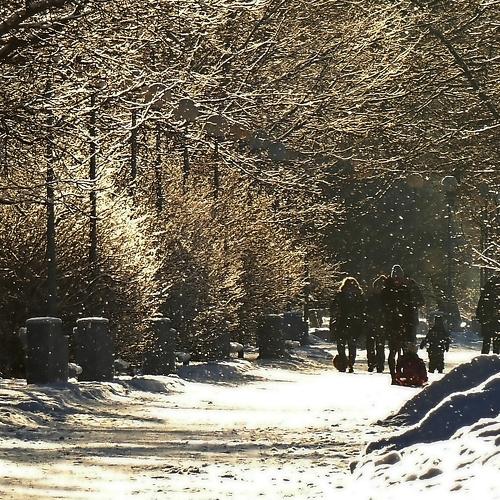 Photo #4031128
