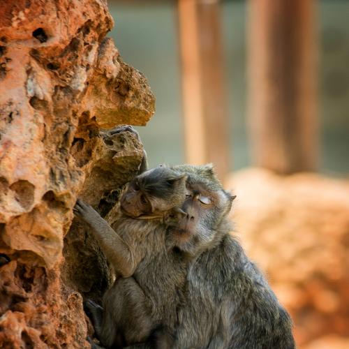 Photo #4031423