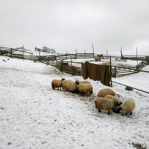 The first snow in December