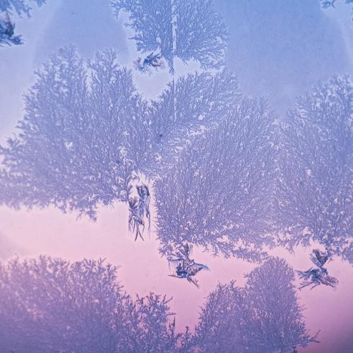 Morning ice on the window